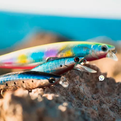 SEÑUELO ESTRATÉGICO DE PESCA - ALEATORIO