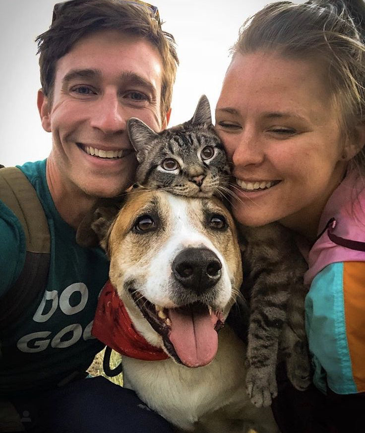 🐕‍🦺 Manual de Cuidado Anticalor | Mantén a tu perro o gato cómodo, fresco y saludable